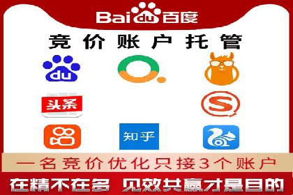 百度竞价公司运营策略：成功案例解析